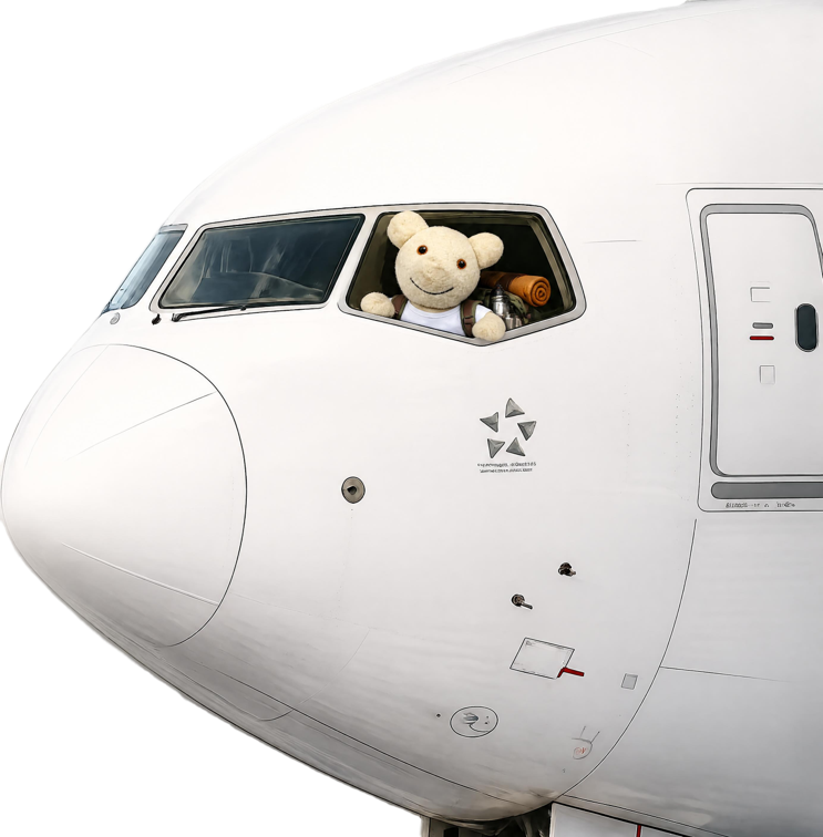here's Teddy flying to